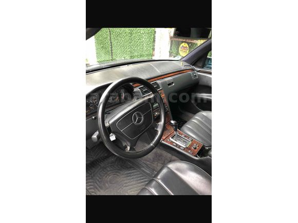 Sahibinden Çiçek e200 