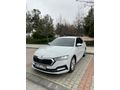 Sahibinden Skoda Octavia 1.5 e-Tec Premium 2020 Model 