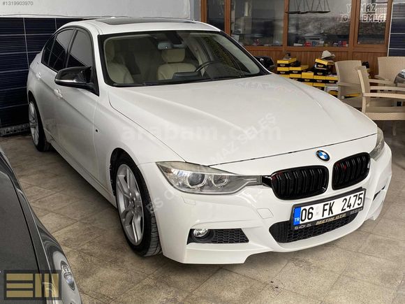 ESOTO DAN F30