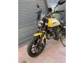 SCRAMBLER ICON-NADİR TEMİZLİKTE SAHİBİNDEN