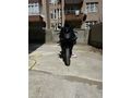 Sahibinden Yamaha YZF R25 ABS 