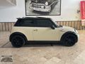 CEYHAN OTOMOTİV DEN MINI COOPER S 184 HP CAM TAVAN