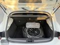 2020 HATASIZ 87.500 KM 1.0 TCe OTOMATİK EMSALSİZ TEMİZLİKTE