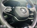 GALLERY UÇAR'dan-DEGİŞENSİZ-BOYASIZ-2024-SKODA-SÜPER B-PRESTİGE-