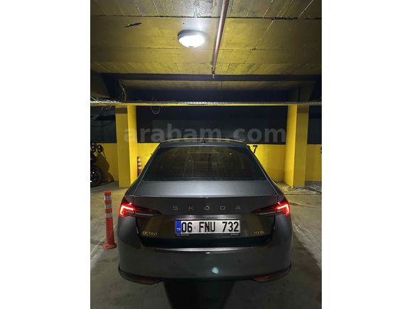 Sahibinden Skoda Octavia 1.5 Mhev Elite 2025 Model 