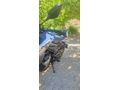 Sahibinden CFmoto 250NK