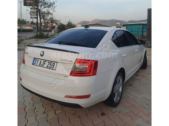 OTOMATİK OCTAVİA ELEGANCE CR