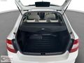RENEW CİHAN PLAZA SKODA RAPİD 1.4 TDİ GREENTECH STYLE HATASIZ