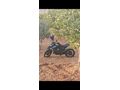 Sahibinden RKS RZ 125 X