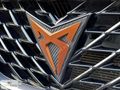 2024 CUPRA FORMENTOR BUCKET KOLTUK ELEKTRİKLİ BAGAJ KAMERA.