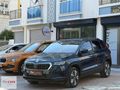 2023 BOYASIZ SKODA KAROQ 1.5 TSİ ELİTE CAM TAVAN 45 BİN KM DE