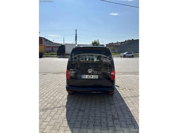Bakımlı diri kara kedi