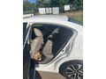 Sahibinden Honda Civic 1.6i VTEC Executive 2015 Model 