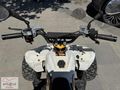 2024 MODEL KUBA PREDATOR 110 CC ATV KARTA TAKSİT İMKANI İLE