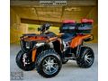 ŞARK MOTOR'S DAN 2025 FALCON STRONG 377