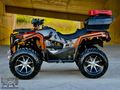 ŞARK MOTOR'S DAN 2025 FALCON STRONG 377