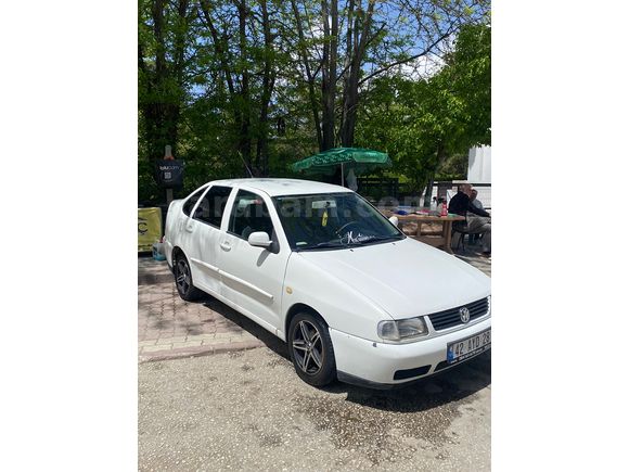 Temiz polo classic