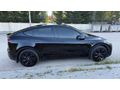 Sahibinden Tesla Model Y Standart Range 2025 Model 