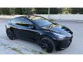 Sahibinden Tesla Model Y Standart Range 2025 Model 