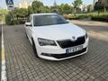 Galeriden Skoda SuperB 1.6 TDI Active 2017 Model İstanbul