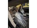 Sahibinden Honda Civic 1.6i VTEC Eco Executive 2020 Model 