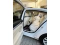 Sahibinden Volkswagen Passat 1.6 TDi BlueMotion Comfortline 2018 Model 