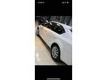 Sahibinden Skoda Octavia 1.6 TDI Optimal 2016 Model 