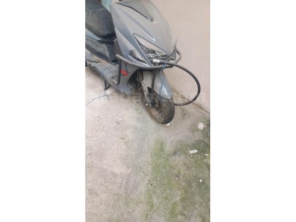 Sahibinden Kuba Pesaro 50 X