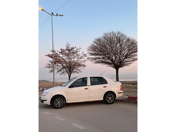 Sahibinden Skoda Fabia 1.4 TDI Ambiente 2005 Model