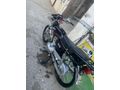 Sahibinden Kuba CG 100