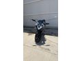 Sahibinden CFmoto 250SR