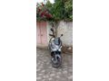 125CC SCOOTER RKS Newlight