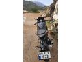 vizesi bugün yapıldı Sahibinden Yamaha YZF R25 ABS