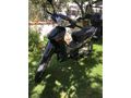 Sahibinden Honda Innova 125 
