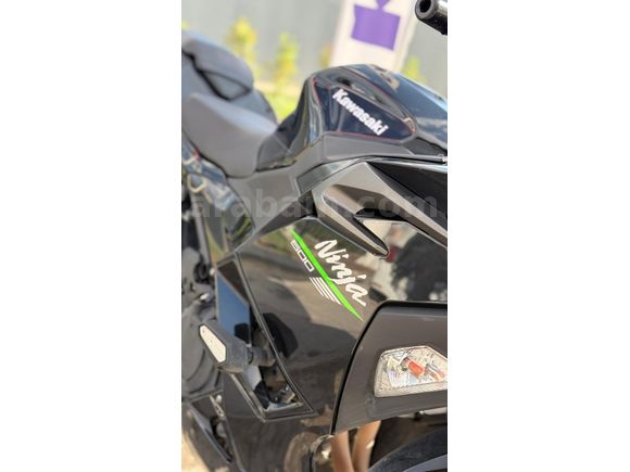 2024 Kawasaki Ninja 500 | Servis Bakımlı | A2 Ehliyet Uyumlu