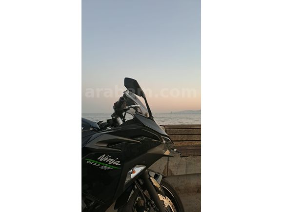 2024 Kawasaki Ninja 500 | Servis Bakımlı | A2 Ehliyet Uyumlu
