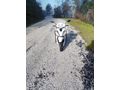 Sahibinden Honda Dio 
