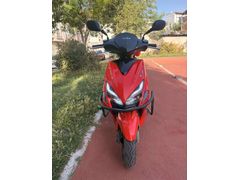 Sahibinden Kuba Pesaro 125 X 
