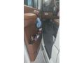 Sahibinden Volkswagen Crafter Servis 