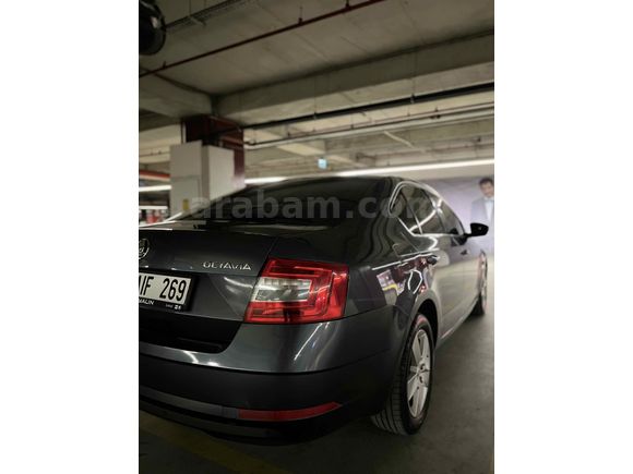 Sahibinden Skoda Octavia 1.6 TDI Optimal 2019 Model 