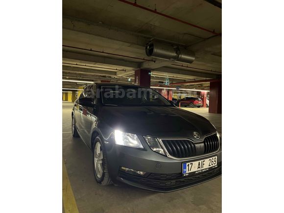 Sahibinden Skoda Octavia 1.6 TDI Optimal 2019 Model 