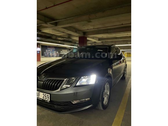 Sahibinden Skoda Octavia 1.6 TDI Optimal 2019 Model 