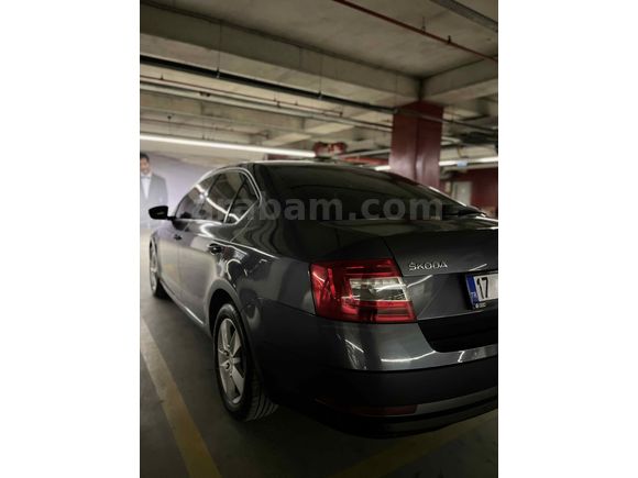 Sahibinden Skoda Octavia 1.6 TDI Optimal 2019 Model 