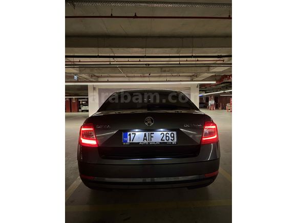 Sahibinden Skoda Octavia 1.6 TDI Optimal 2019 Model 