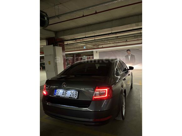 Sahibinden Skoda Octavia 1.6 TDI Optimal 2019 Model 