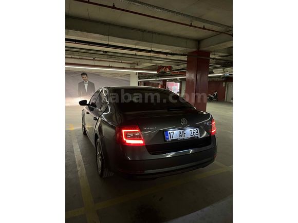 Sahibinden Skoda Octavia 1.6 TDI Optimal 2019 Model 