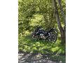 Sahibinden Mondial 125 Drift L CBS 