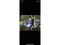 Sahibinden Yamaha MT 25 ABS 