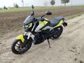 BAJAJ DOMİNAR 250 D
