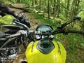 BAJAJ DOMİNAR 250 D